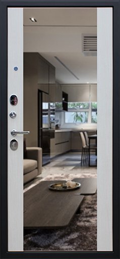 Товар Дверь Вектор с зеркалом DIS002726